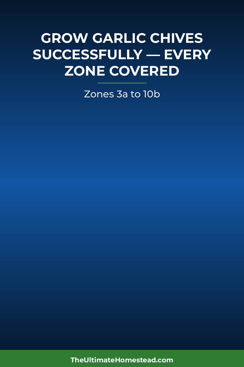 Garlic Chives Planting Guide