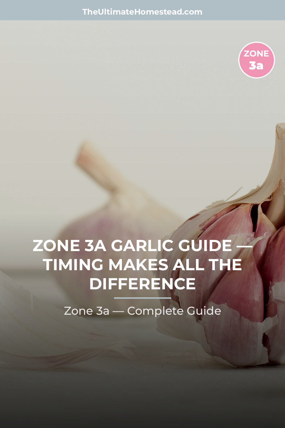 When to Plant Garlic in Zone 3a