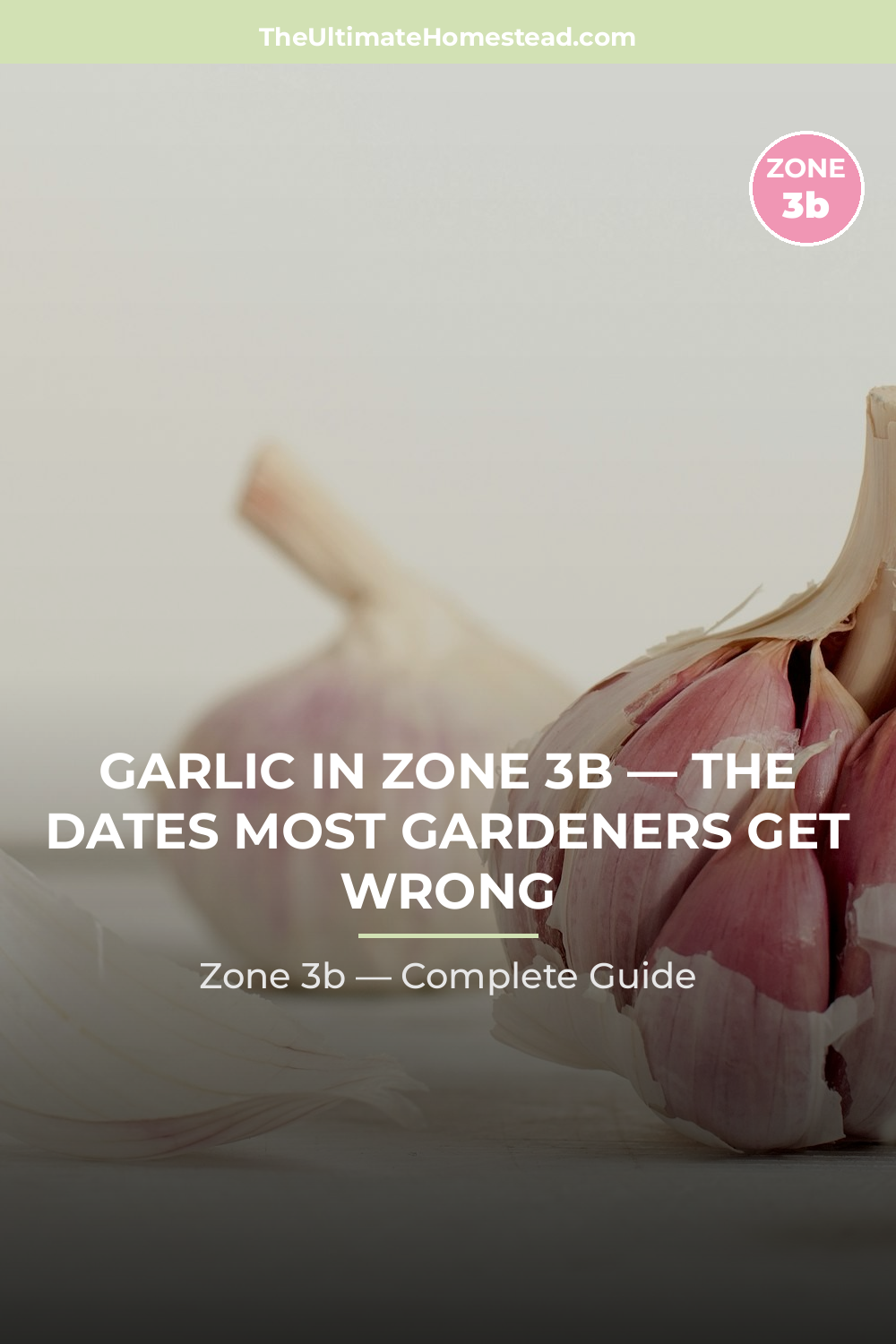 When to Plant Garlic in Zone 3b