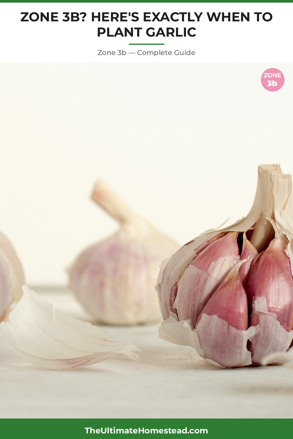 When to Plant Garlic in Zone 3b