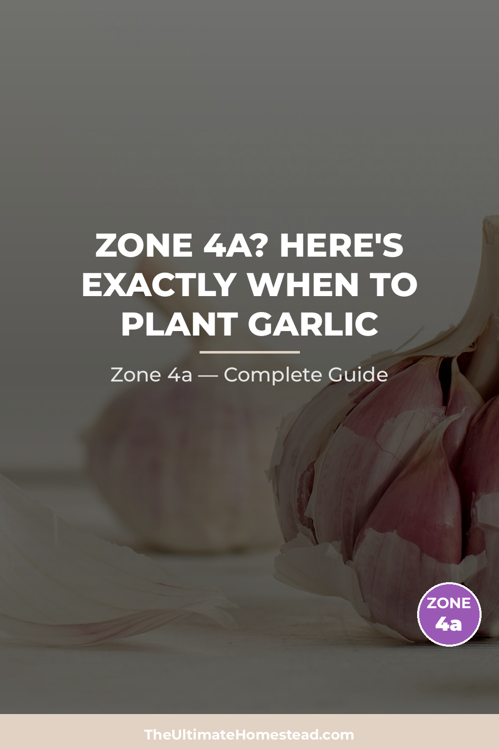When to Plant Garlic in Zone 4a