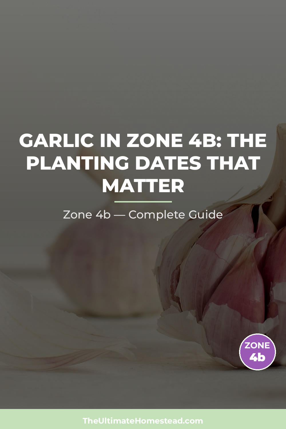 When to Plant Garlic in Zone 4b