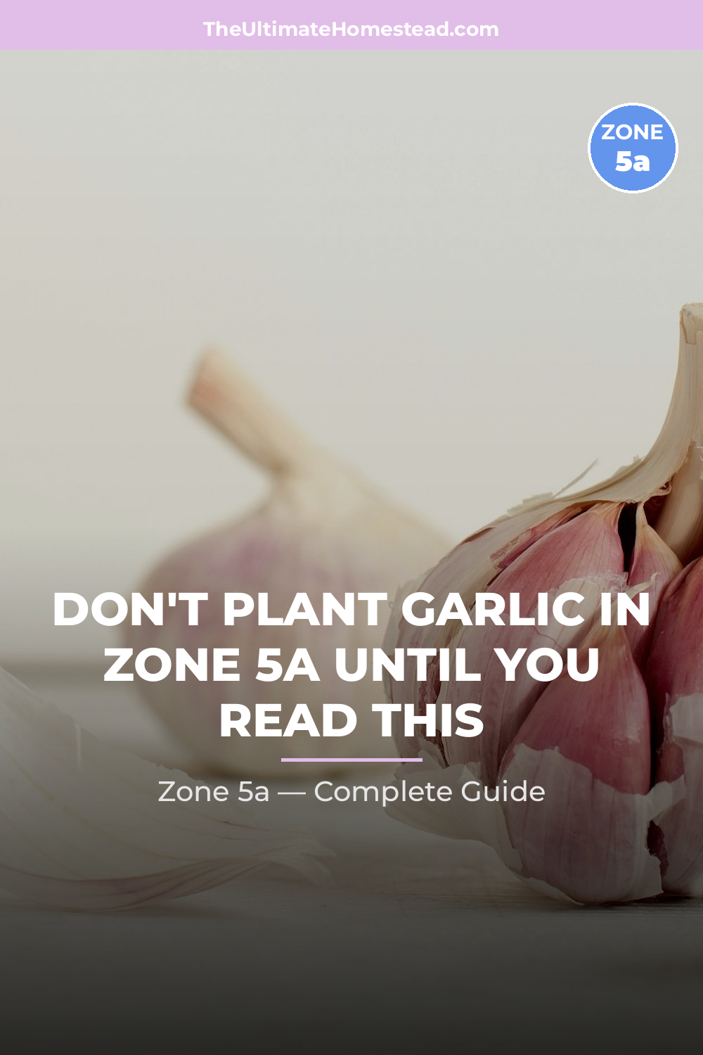 When to Plant Garlic in Zone 5a