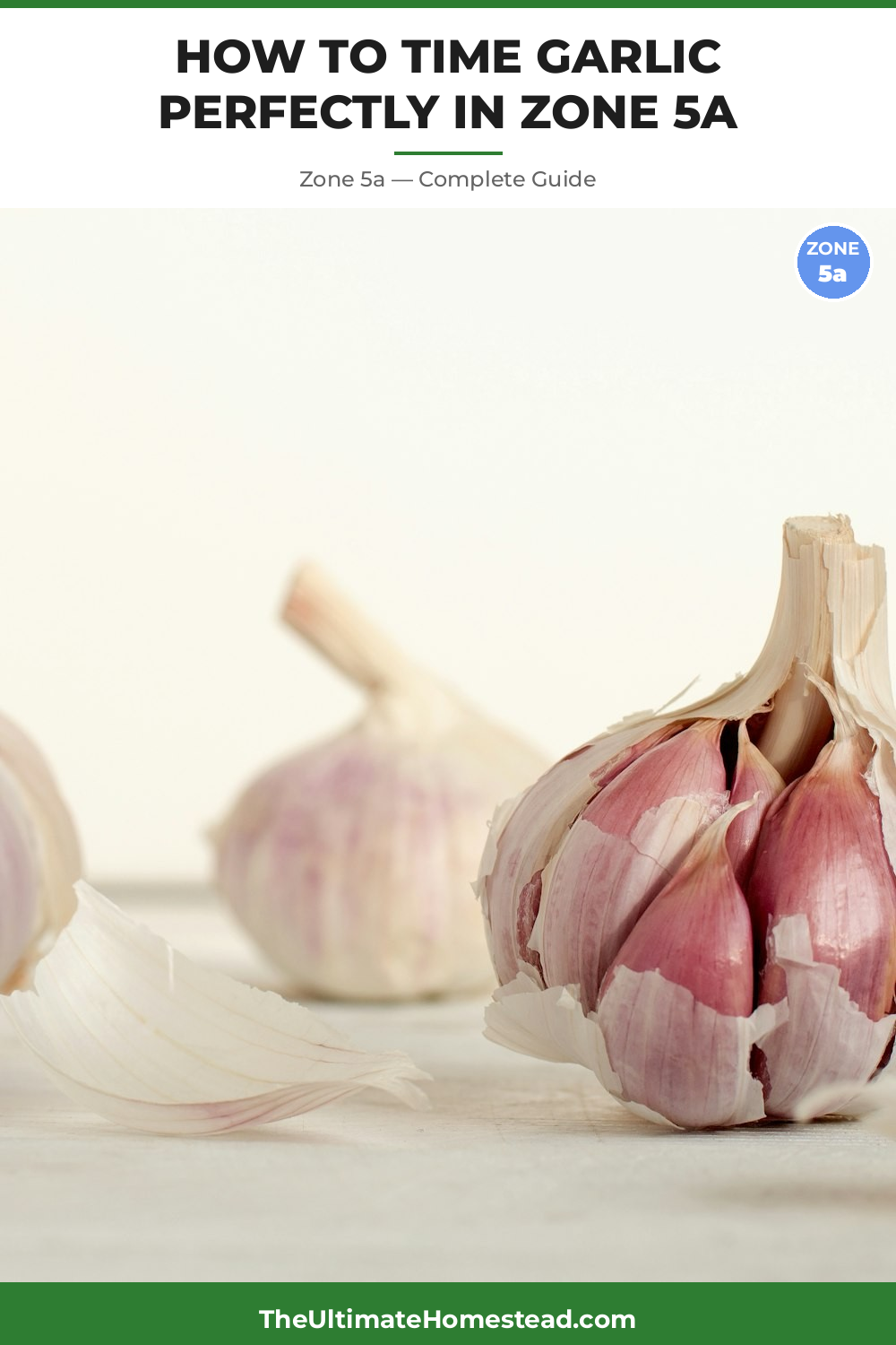 When to Plant Garlic in Zone 5a