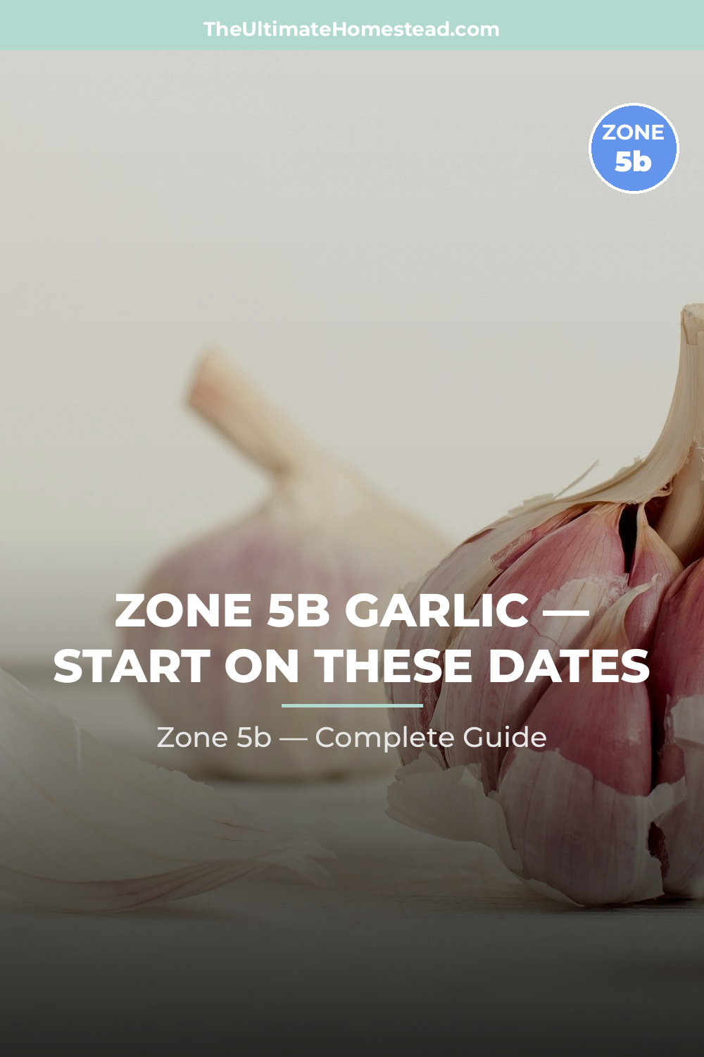 When to Plant Garlic in Zone 5b