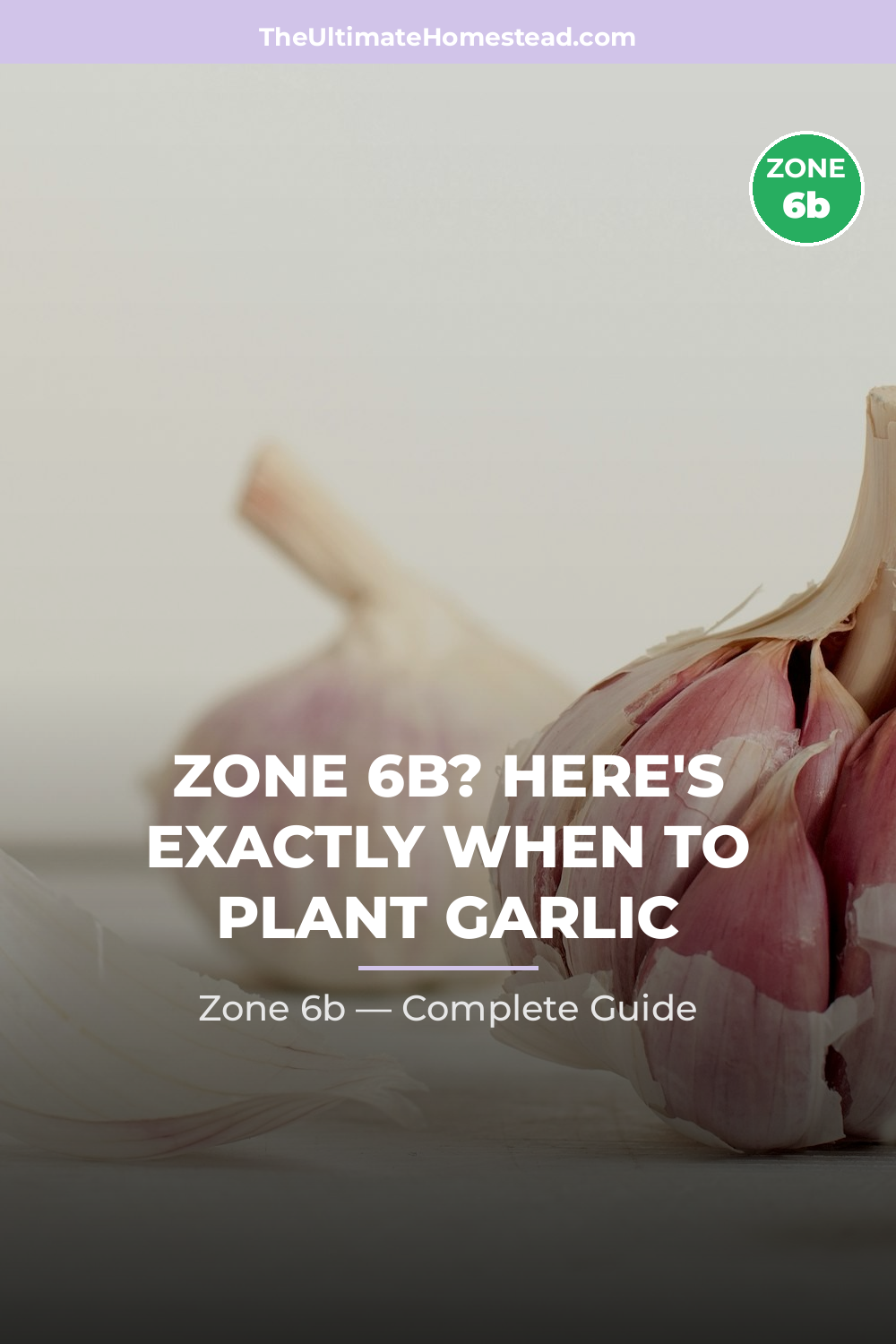 When to Plant Garlic in Zone 6b