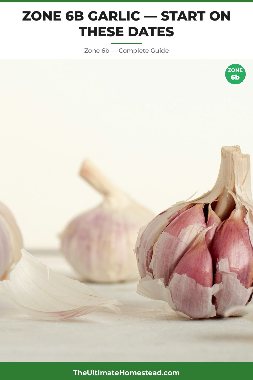 When to Plant Garlic in Zone 6b
