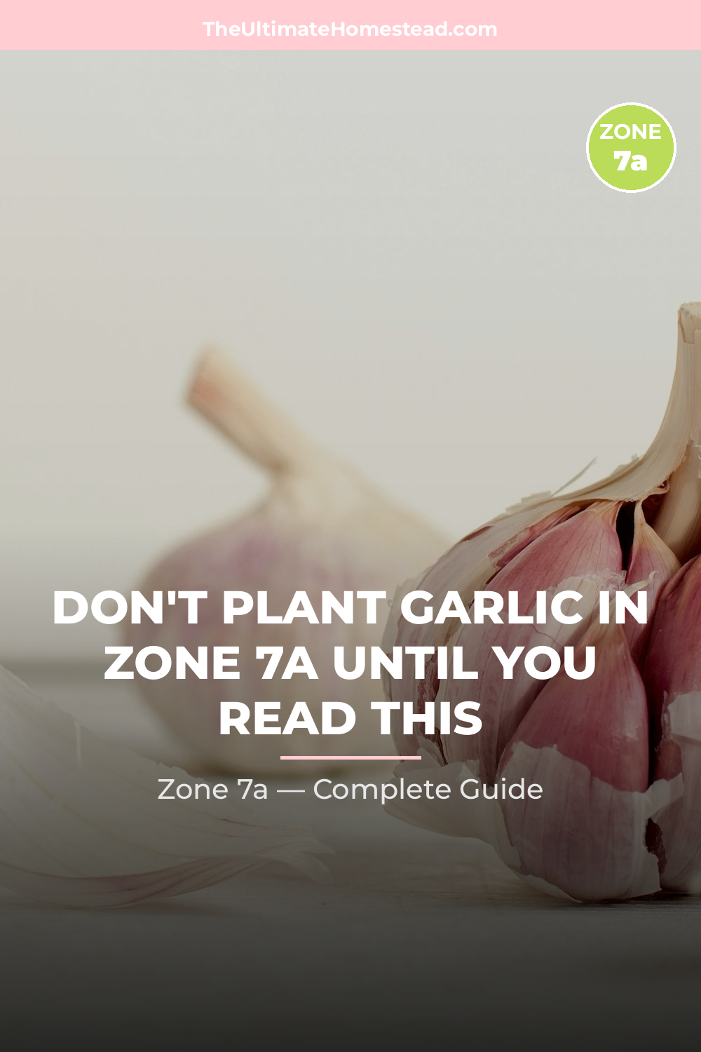 When to Plant Garlic in Zone 7a