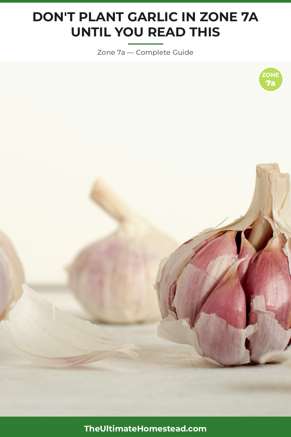 When to Plant Garlic in Zone 7a