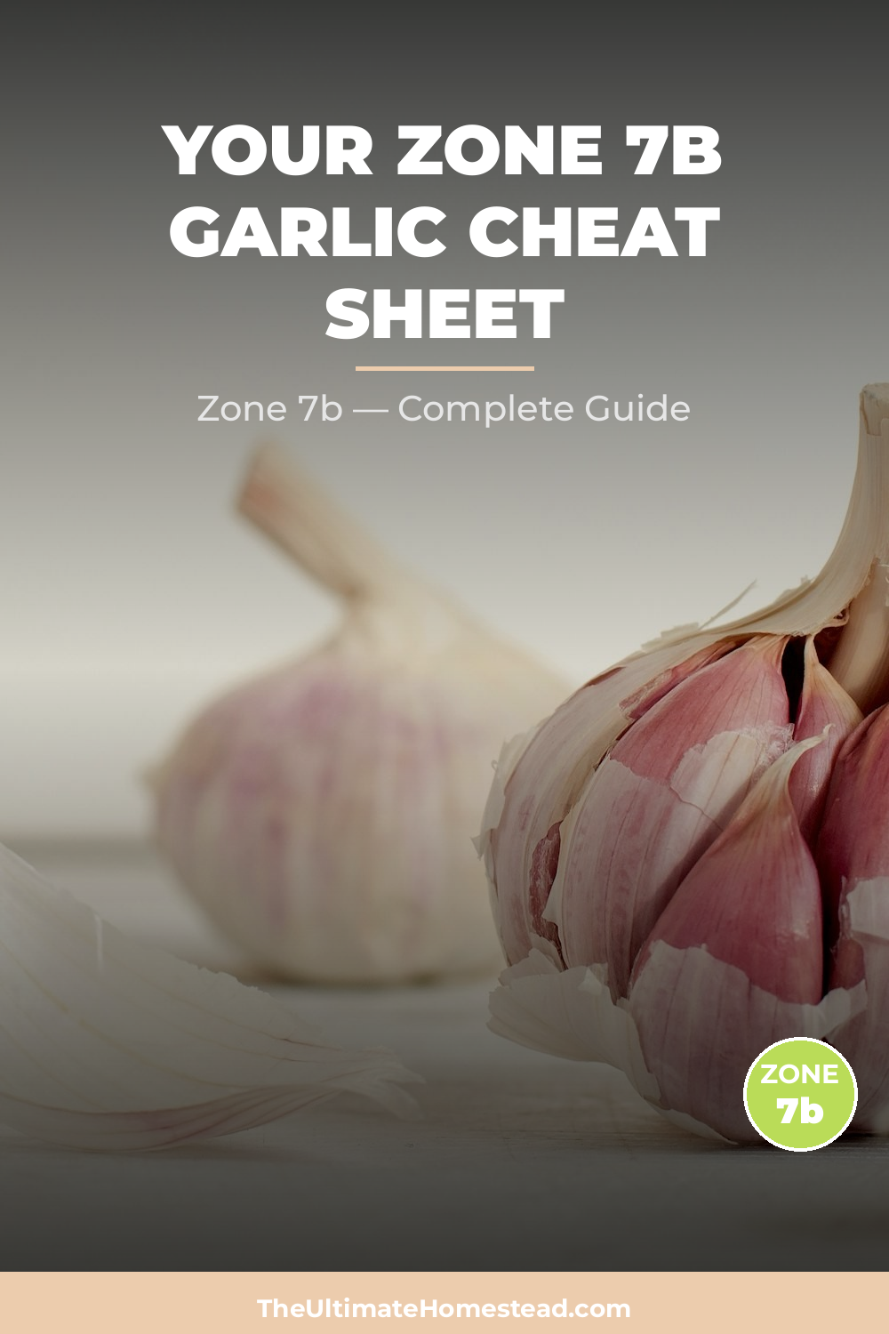 When to Plant Garlic in Zone 7b