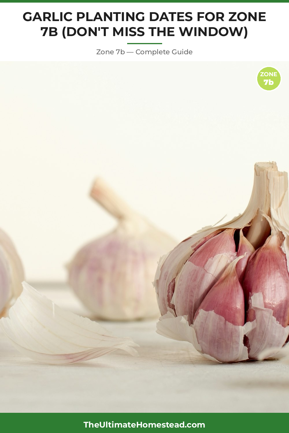 When to Plant Garlic in Zone 7b