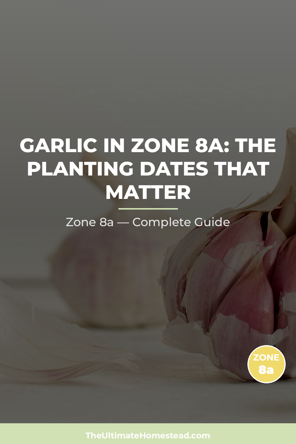 When to Plant Garlic in Zone 8a