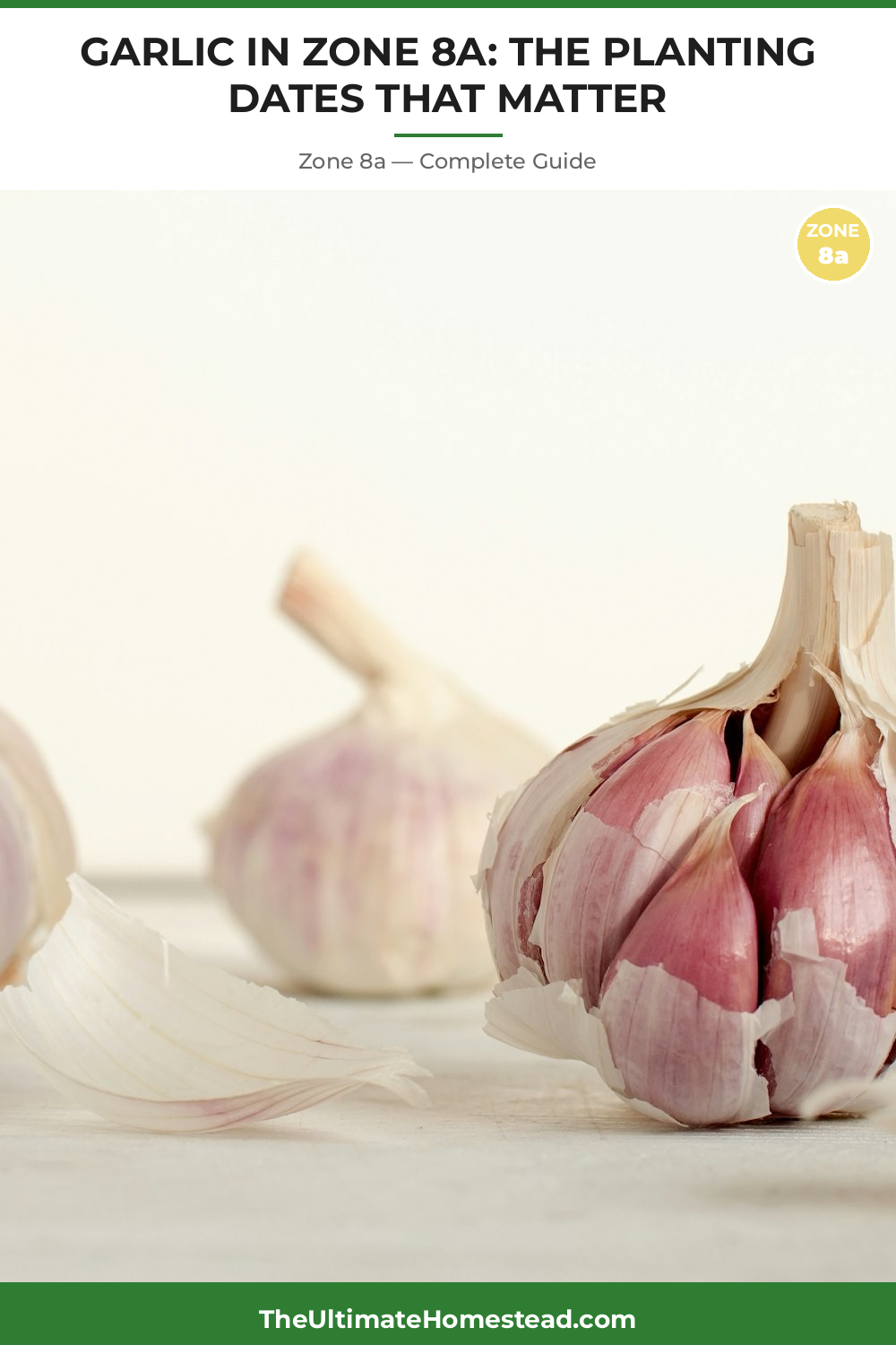 When to Plant Garlic in Zone 8a
