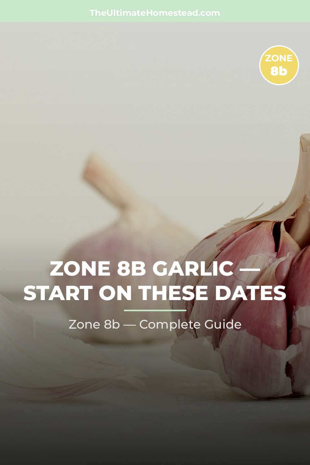 When to Plant Garlic in Zone 8b