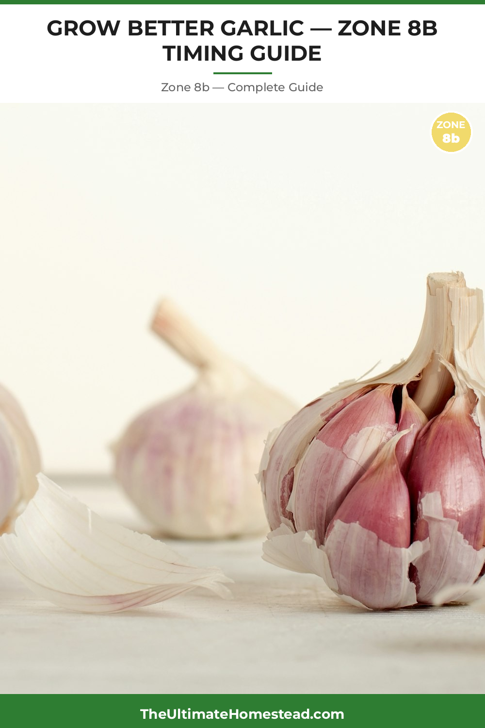 When to Plant Garlic in Zone 8b