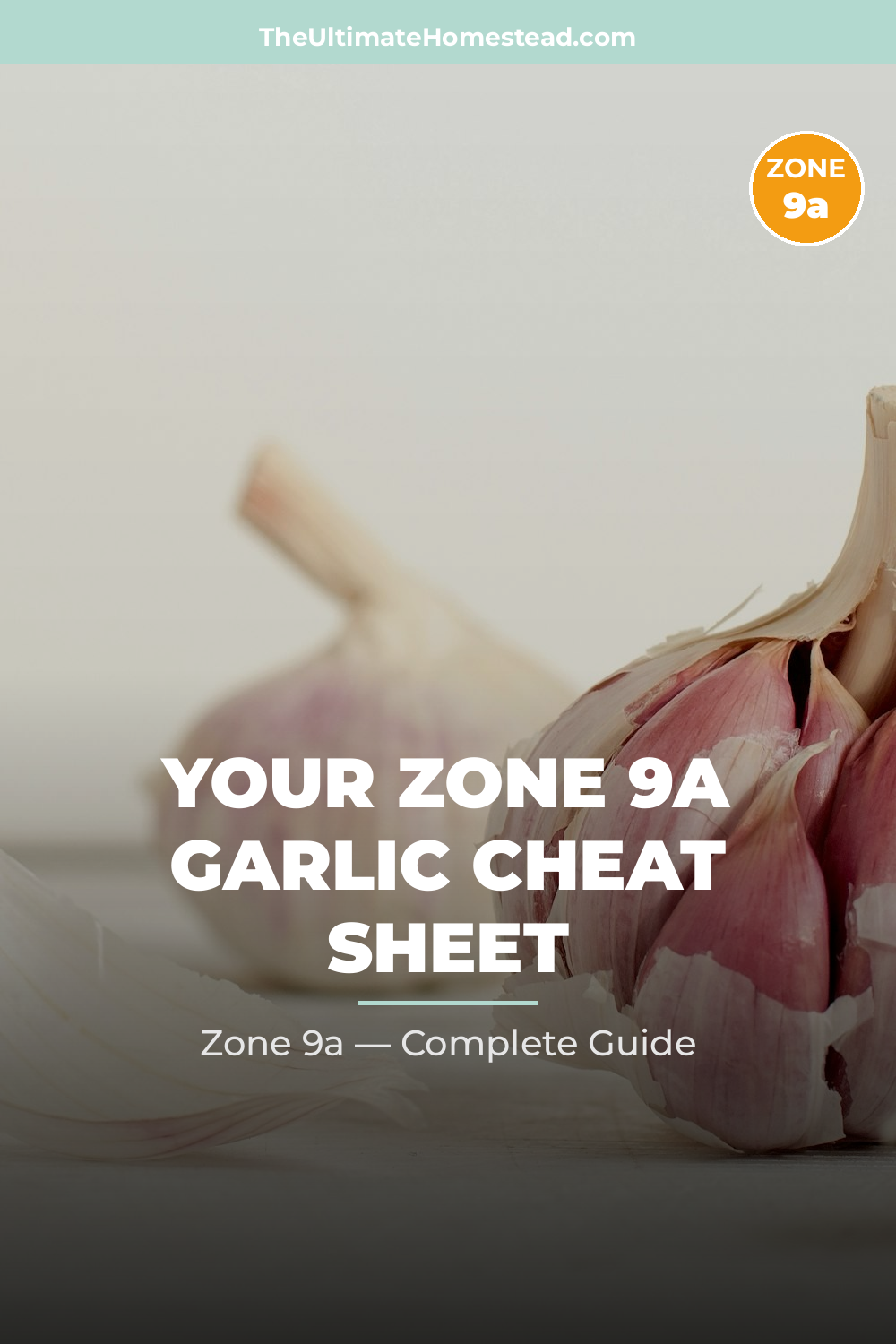 When to Plant Garlic in Zone 9a