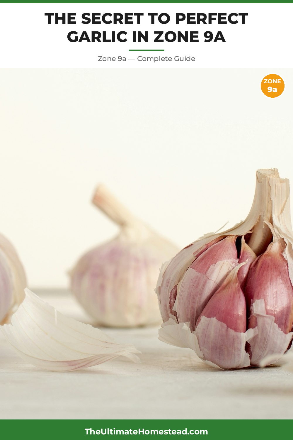 When to Plant Garlic in Zone 9a
