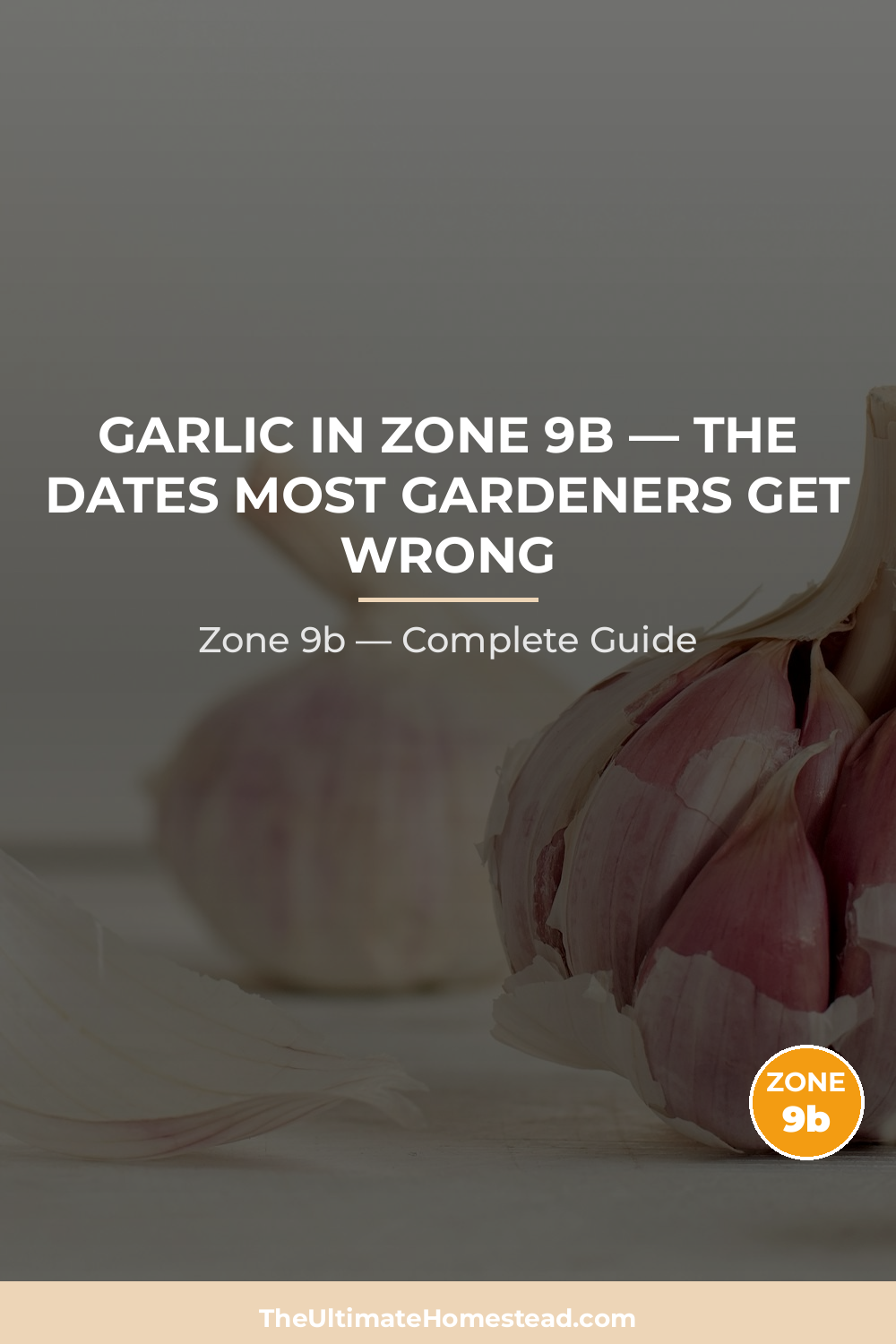 When to Plant Garlic in Zone 9b