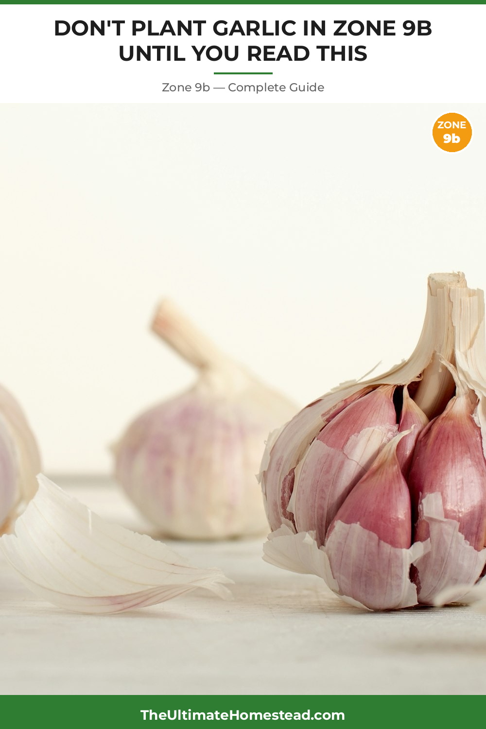 When to Plant Garlic in Zone 9b