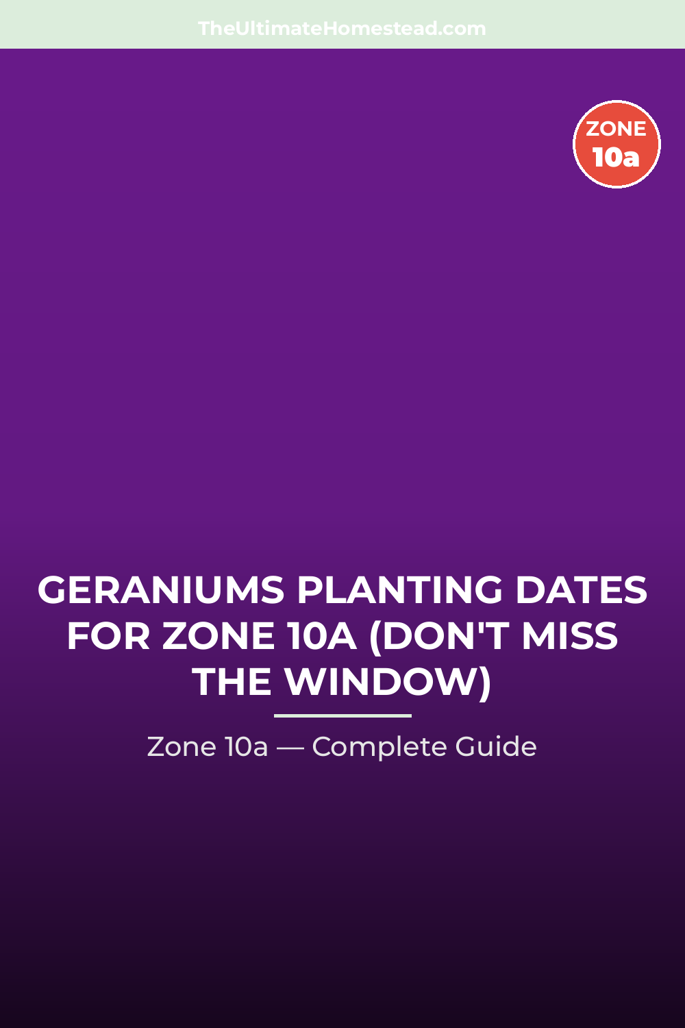 When to Plant Geraniums in Zone 10a