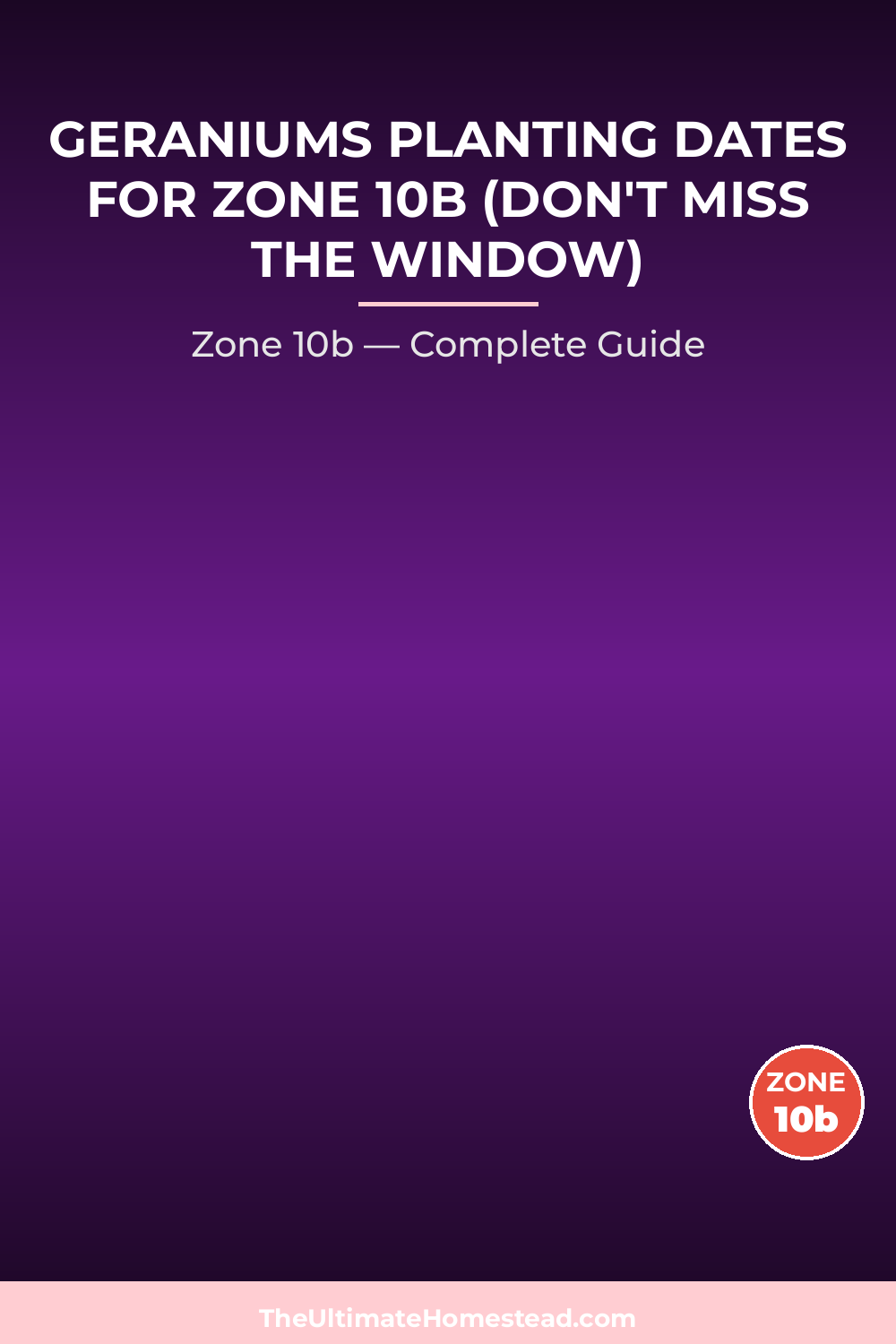 When to Plant Geraniums in Zone 10b