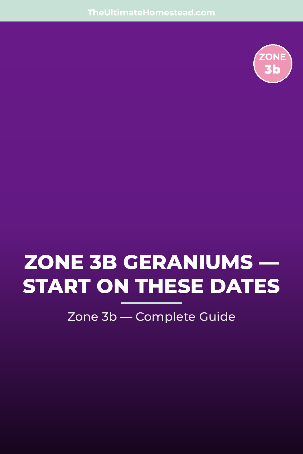 When to Plant Geraniums in Zone 3b