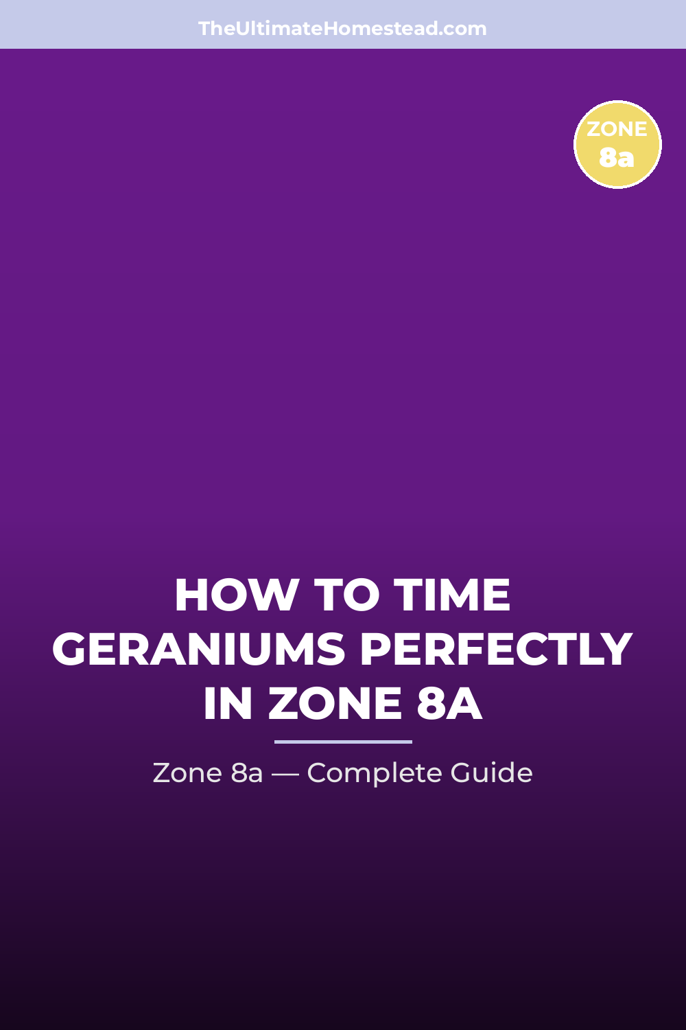 When to Plant Geraniums in Zone 8a