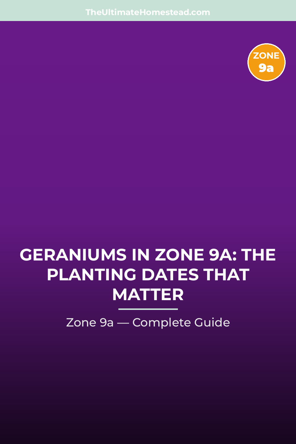 When to Plant Geraniums in Zone 9a