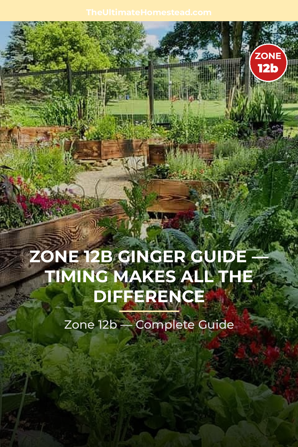 When to Plant Ginger in Zone 12b