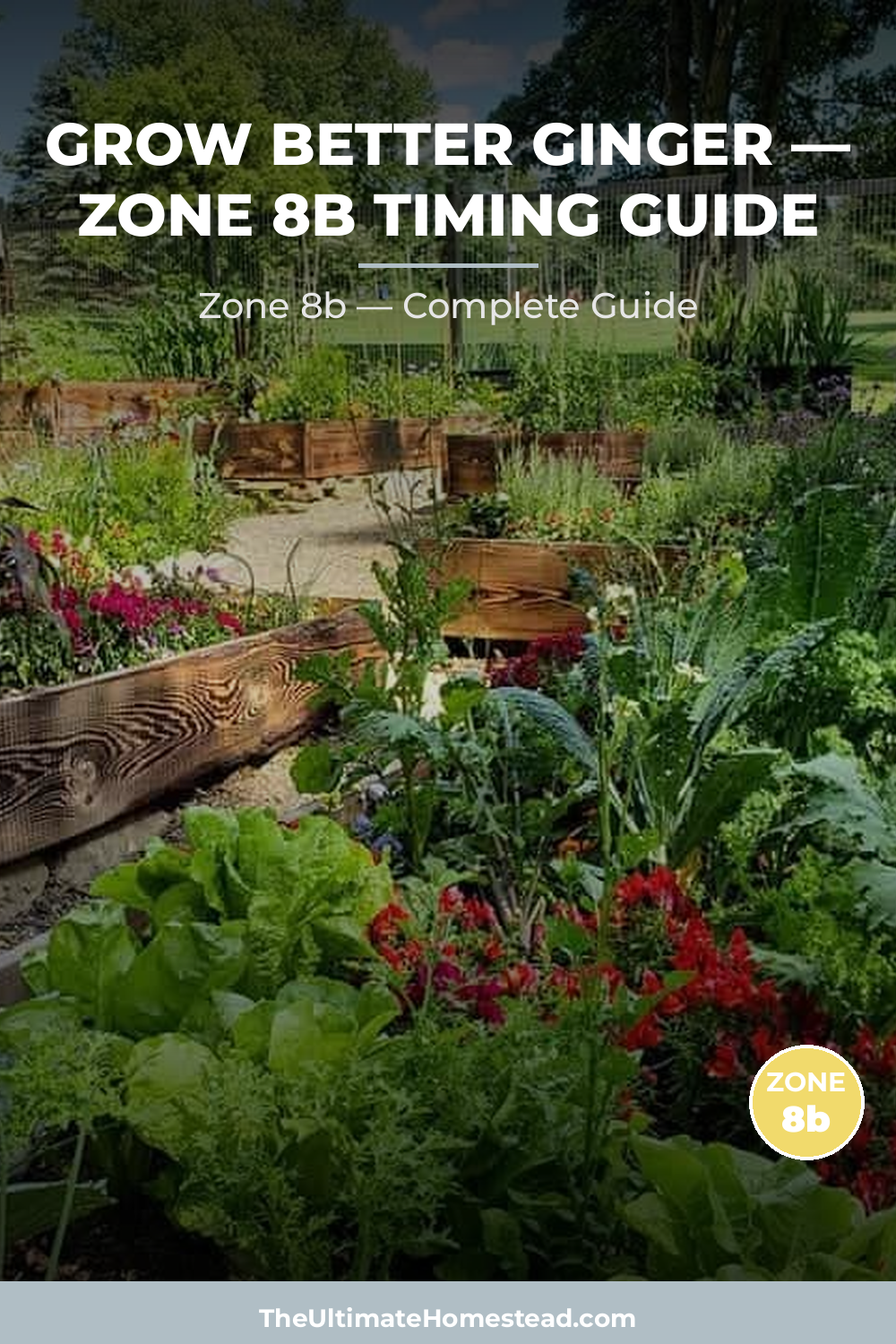 When to Plant Ginger in Zone 8b