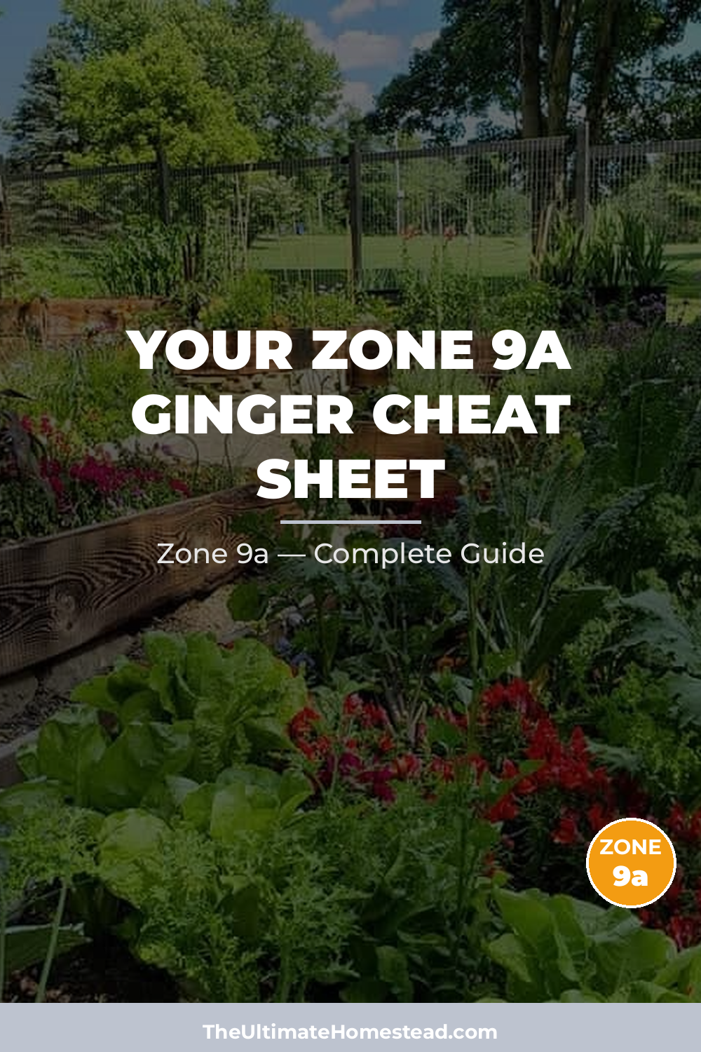 When to Plant Ginger in Zone 9a