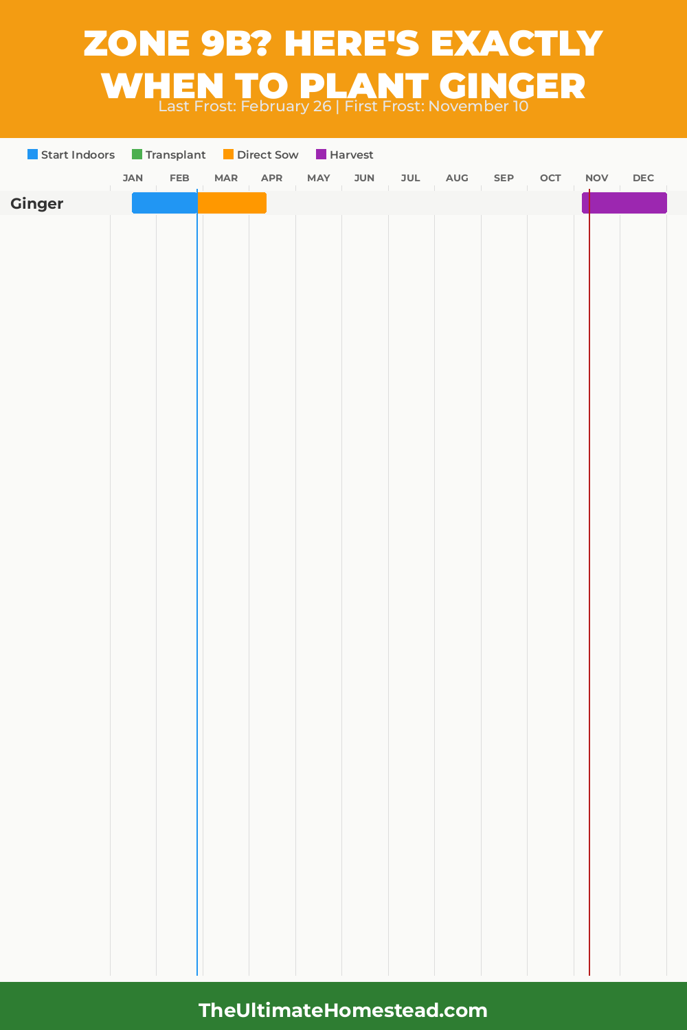 When to Plant Ginger in Zone 9b