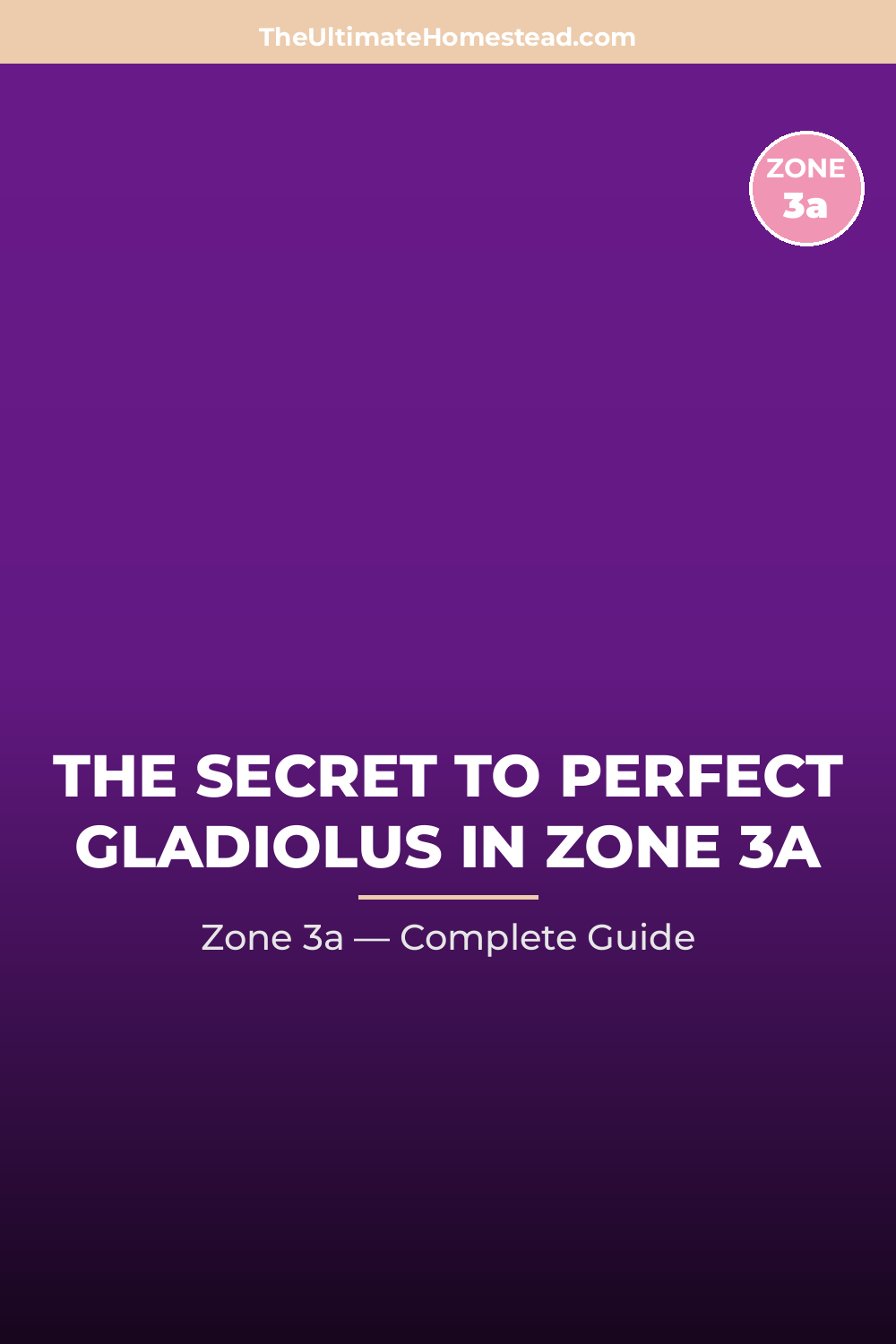 When to Plant Gladiolus in Zone 3a