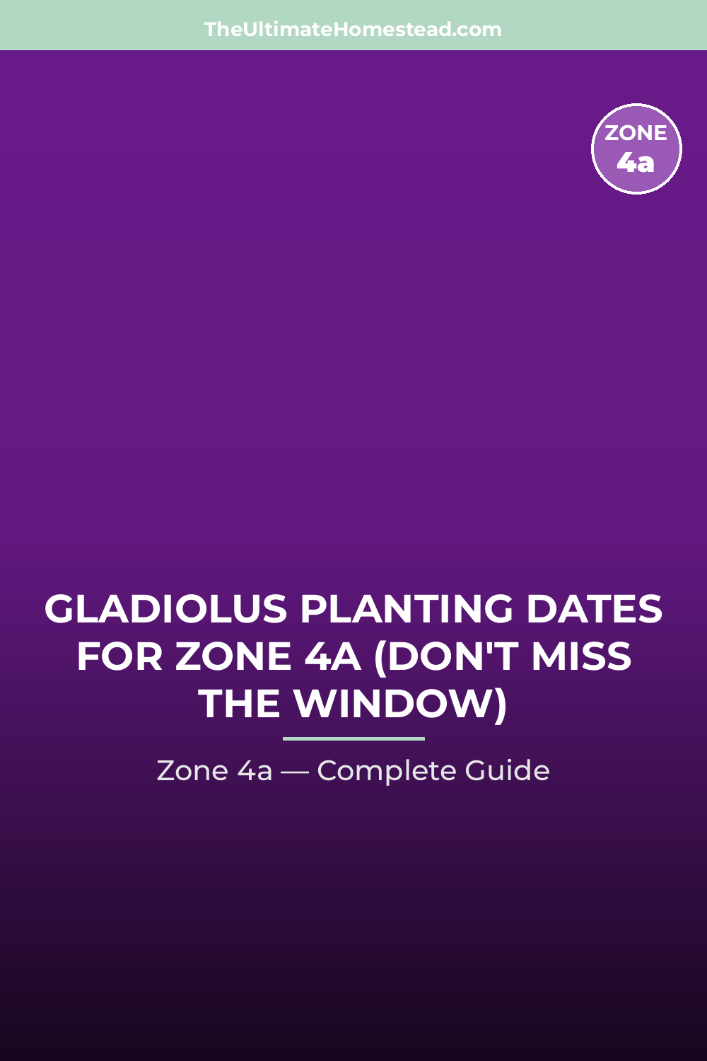 When to Plant Gladiolus in Zone 4a