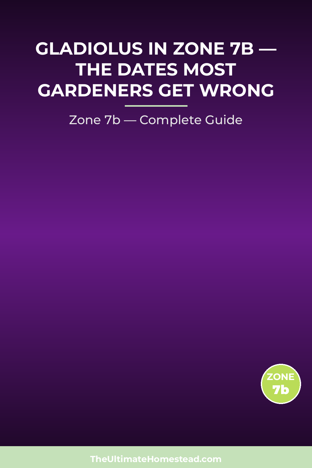 When to Plant Gladiolus in Zone 7b