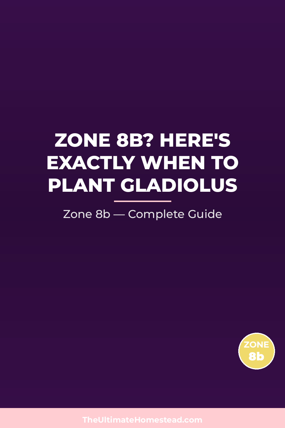 When to Plant Gladiolus in Zone 8b
