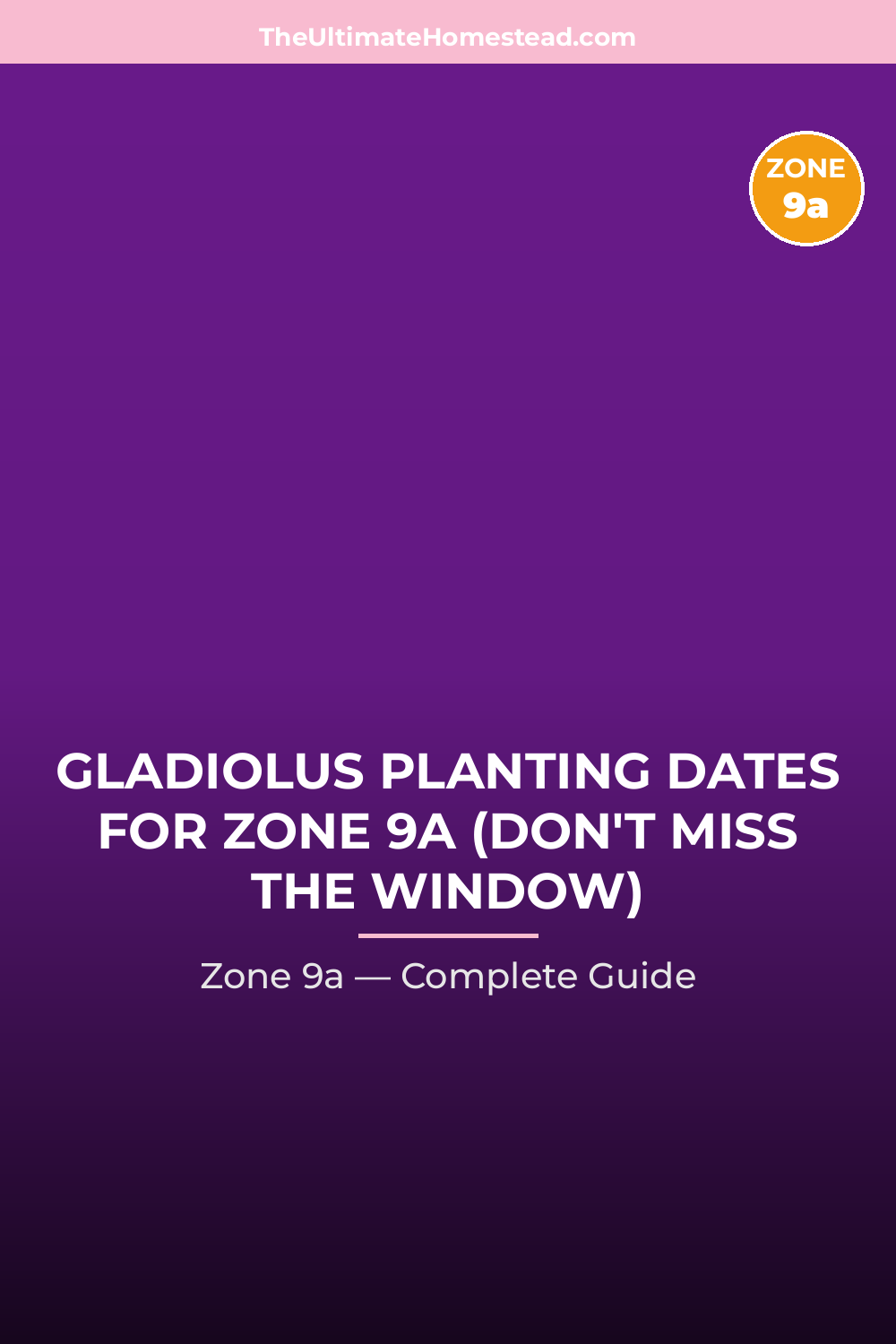 When to Plant Gladiolus in Zone 9a