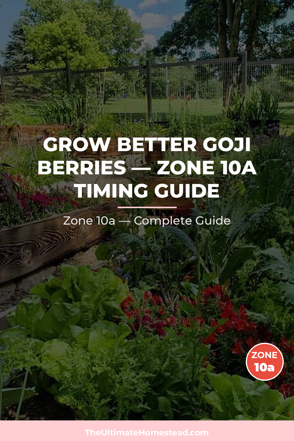 When to Plant Goji Berries in Zone 10a