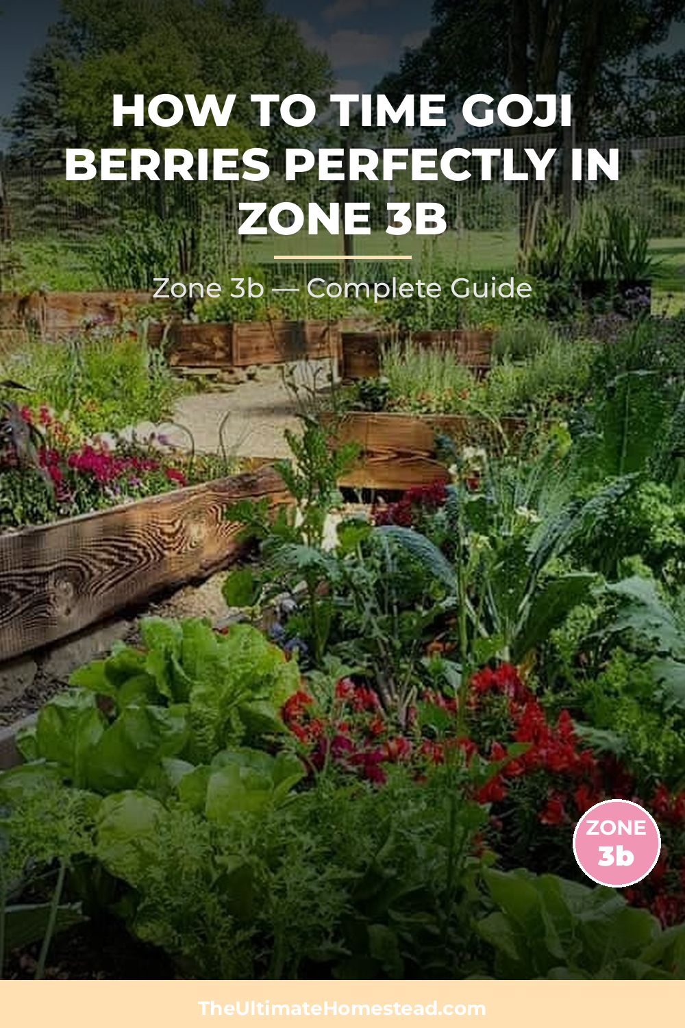 When to Plant Goji Berries in Zone 3b