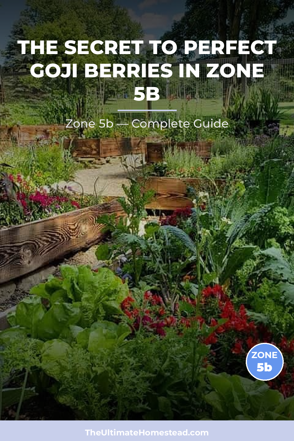 When to Plant Goji Berries in Zone 5b
