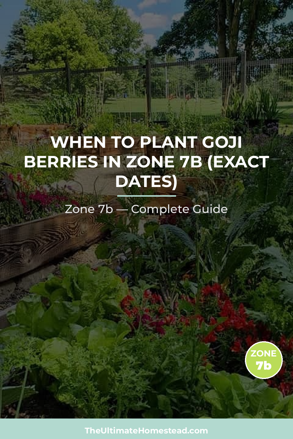 When to Plant Goji Berries in Zone 7b