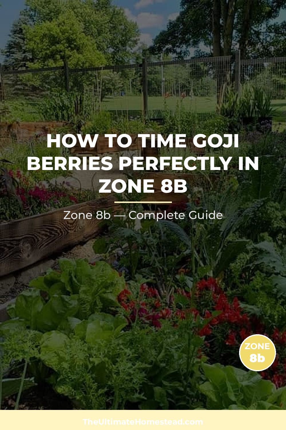 When to Plant Goji Berries in Zone 8b