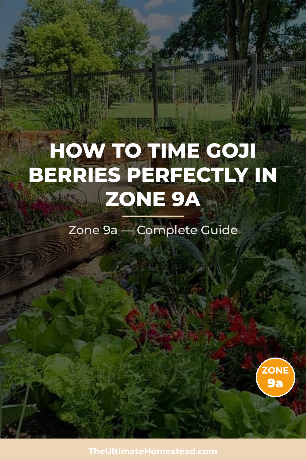 When to Plant Goji Berries in Zone 9a