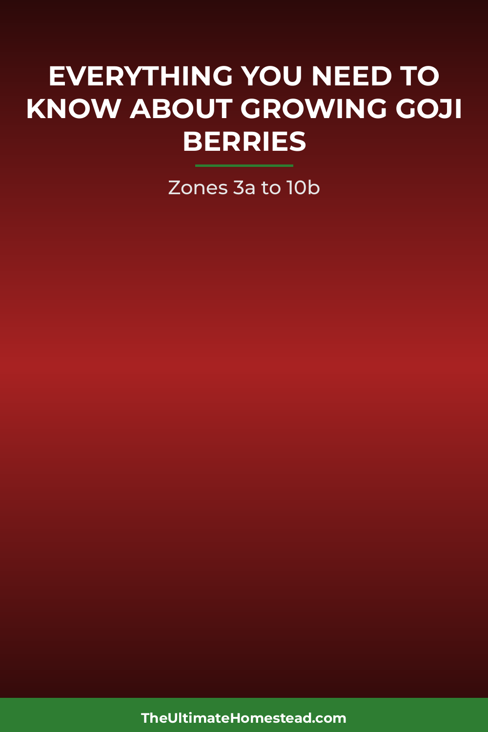 Goji Berries Planting Guide