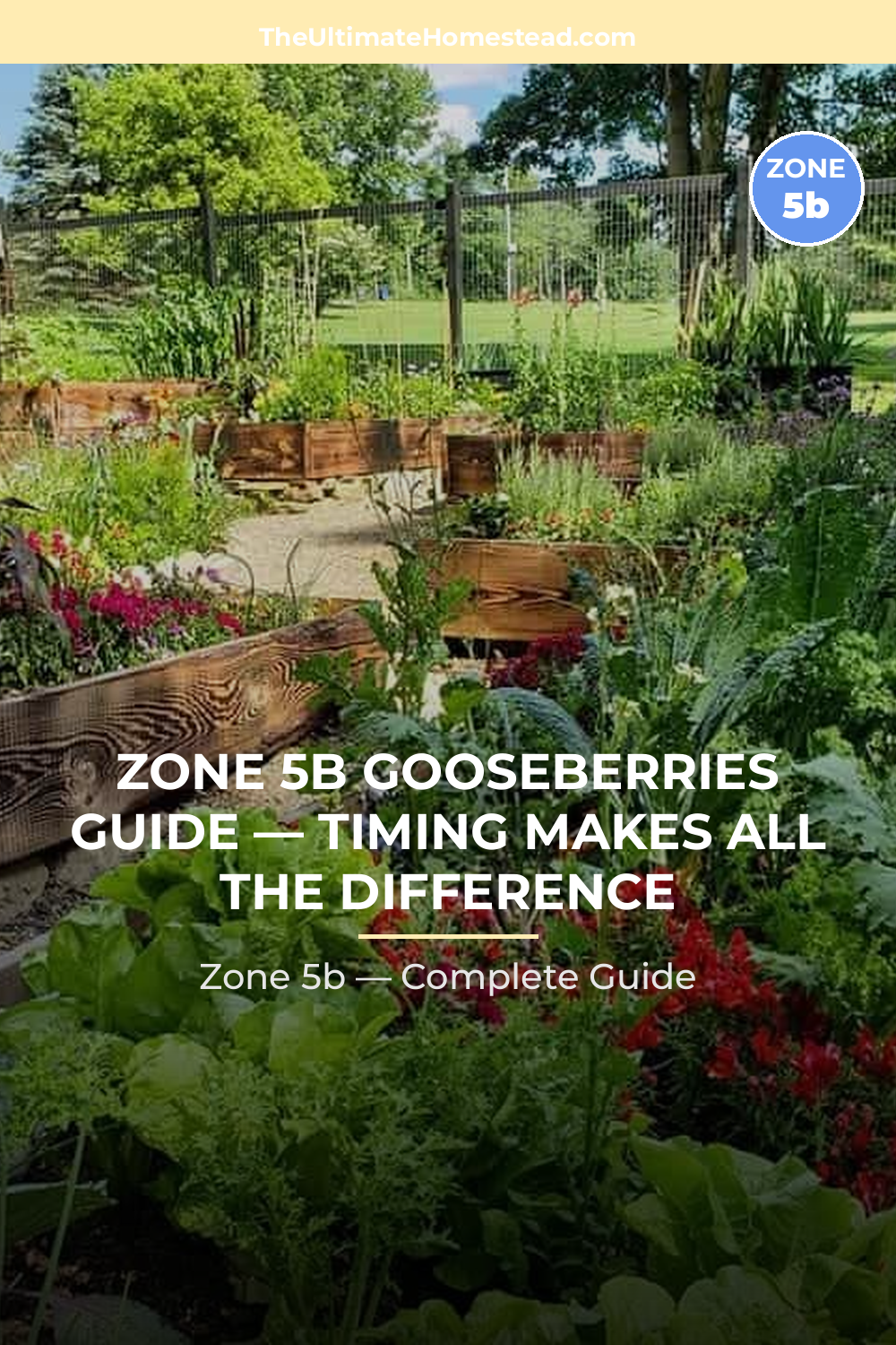When to Plant Gooseberries in Zone 5b