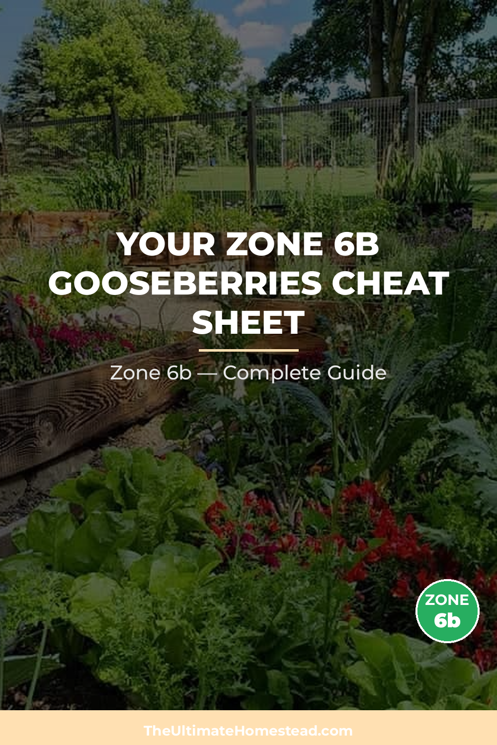 When to Plant Gooseberries in Zone 6b