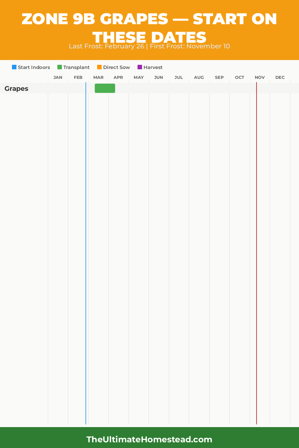 When to Plant Grapes in Zone 9b