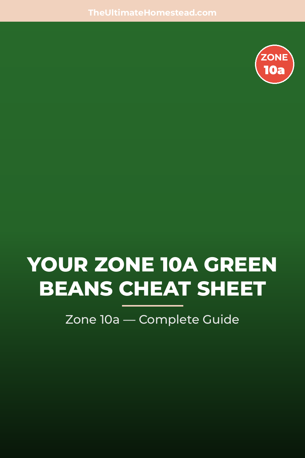 When to Plant Green Beans in Zone 10a