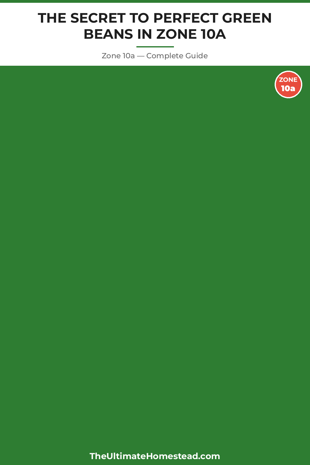 When to Plant Green Beans in Zone 10a