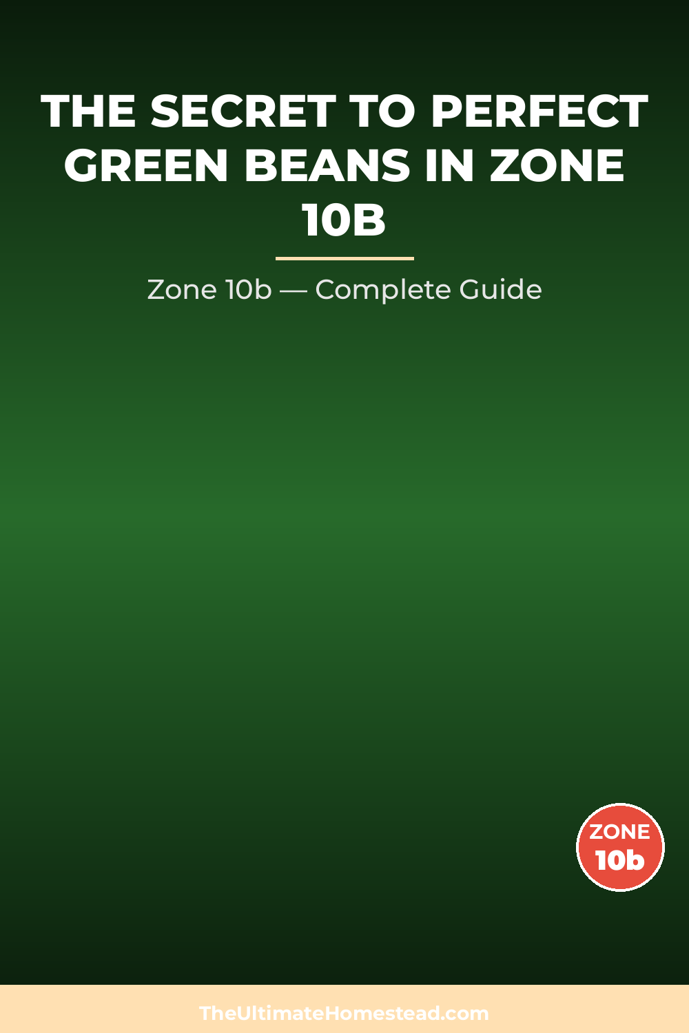 When to Plant Green Beans in Zone 10b